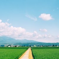 チートとmodの違い チートが何故いけないのか パラベラム Note