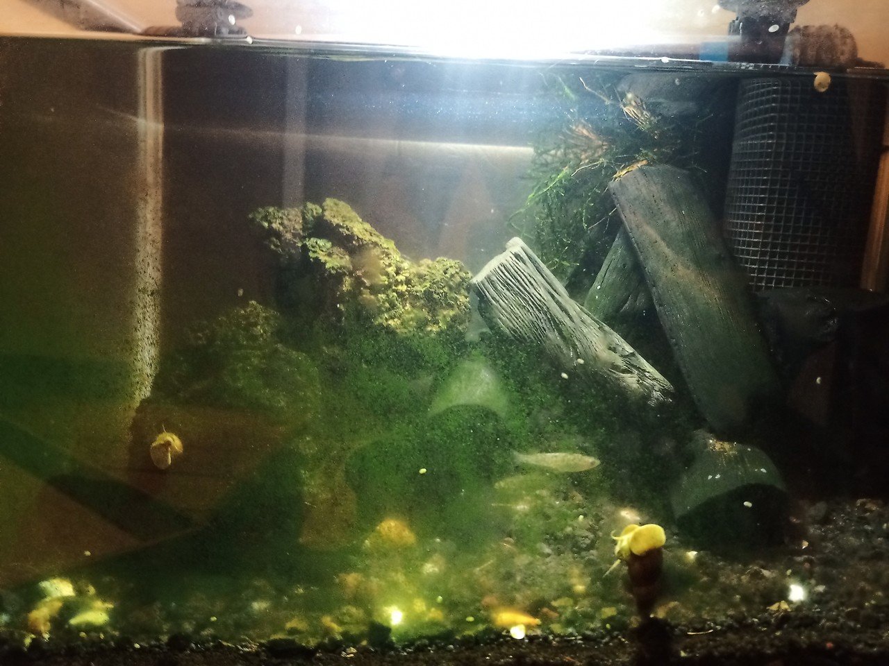 100均diy 300円 税別 で水槽ライトを自作する 諸行 Note 100均diy 300円 税別 で水槽ライトを自作する 諸行 Note