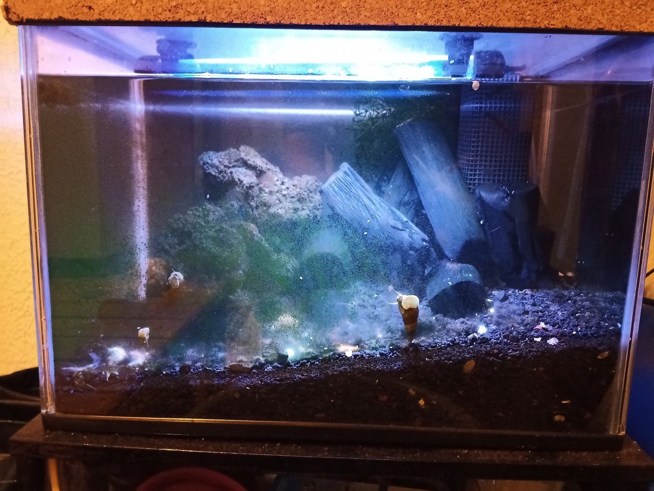 100均diy 300円 税別 で水槽ライトを自作する 諸行 Note 100均diy 300円 税別 で水槽ライトを自作する 諸行 Note