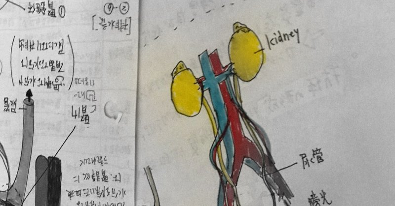 本来の自分の身体へ1〜副腎疲労と身体のストレス