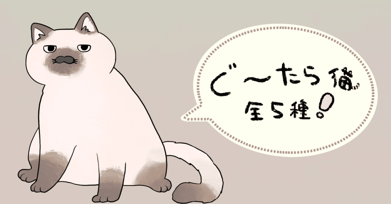 6feq6tu5ytnp M