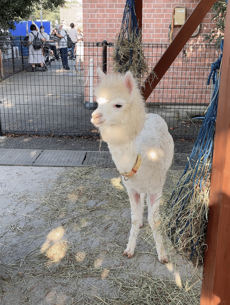 東武動物公園に行ってきました Pesopeso37 Note