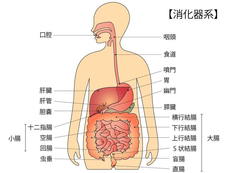 者 販売 奈良 登録