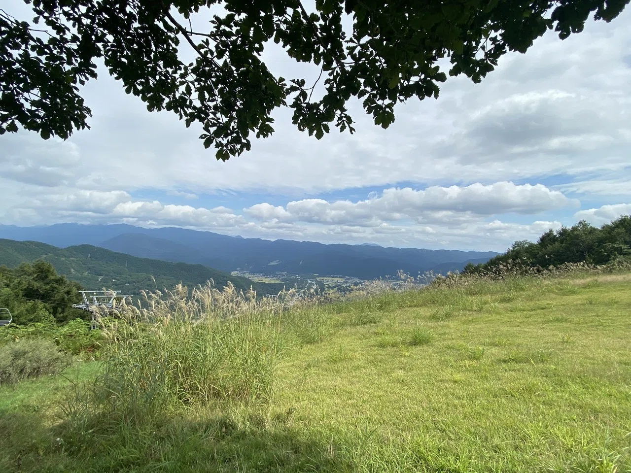 画像8