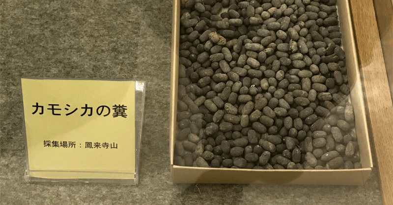 子供に一切注意しない親について トム ソーヤー Note