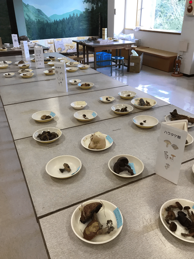 子供に一切注意しない親について トム ソーヤー Note