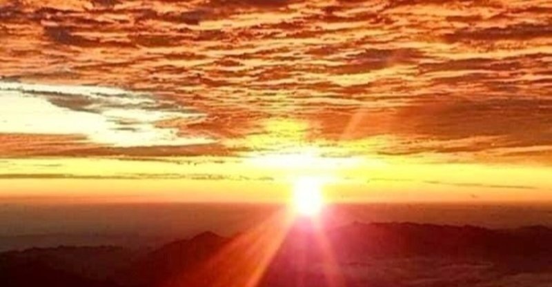 中興の祖 を知らない私がそう言っていただけた強みとは 看護師ひよこ 対話のnukadoko Note