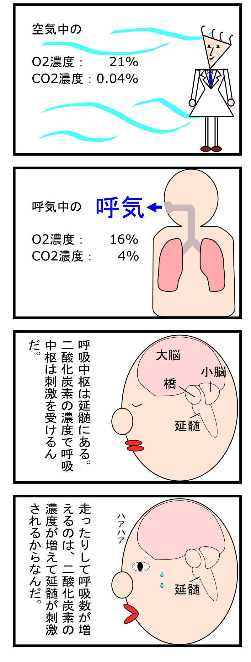 第14話 呼吸器3 呼吸を制御しているのはどこ ずんだーれ Note