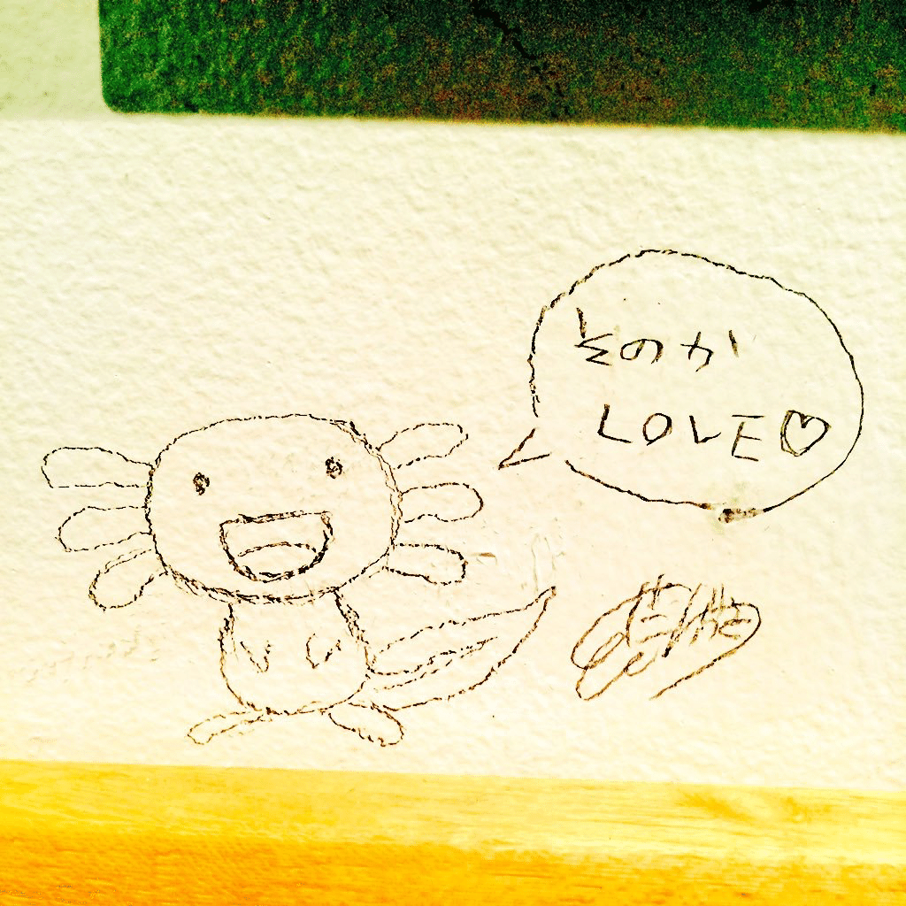 自分の名前が嫌いだった私の 最近の気づきについて Sonoka Aoki Note 自分の名前が嫌いだった私の 最近の気づきについて Sonoka Aoki Note