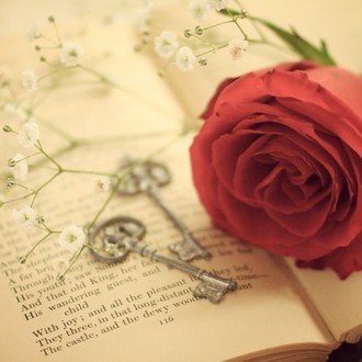 朗読用 ラプンツェル ふららん Note 朗読用 ラプンツェル ふららん Note