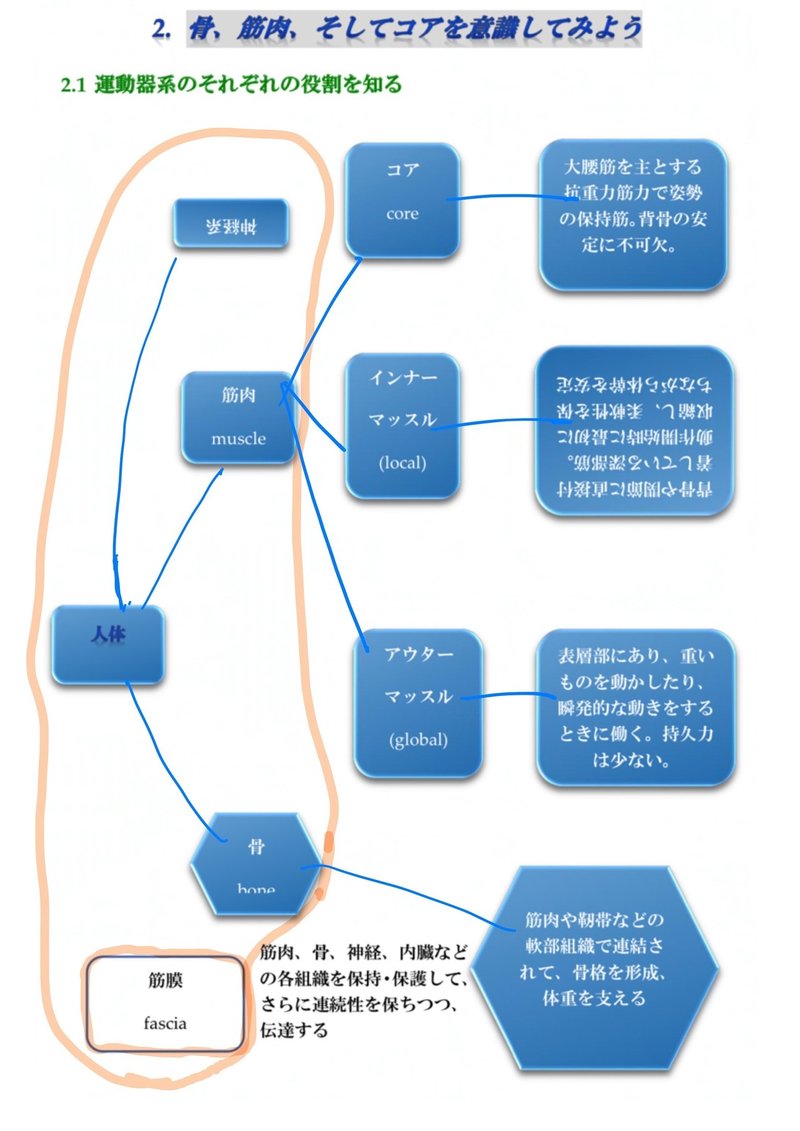 ていねいに ゆっくり動く その先に見えるもの 後編 内田 あや Note