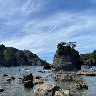 ハローワークでカウンセリング受けて ハッ としてきた エビちゃん Note