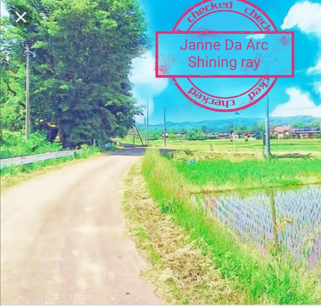 アニメone Piece ワンピース 02年エンディングテーマソング Janne Da Arc Shining Ray 自作オリジナルジャケット作ってみた キャラクター界通信 Note