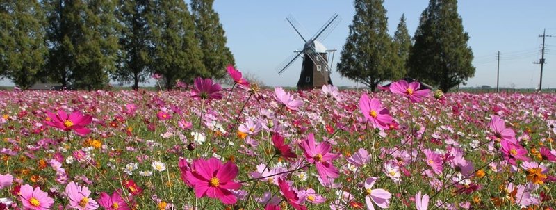 柏デートを思い切り楽しむ 4回柏に行った私がおすすめする1dayプラン デートの達人 Note