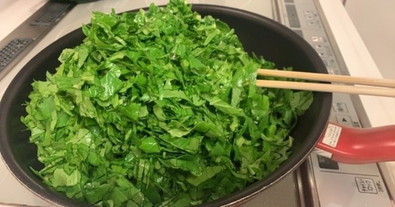 夏場はサラダ大根の葉っぱ 野菜栽培レッスンプロの読書ノート 雑記帳 Note 夏場はサラダ大根の葉っぱ 野菜栽培レッスンプロの読書ノート 雑記帳 Note