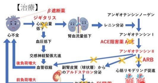 イラスト薬理学講義 看護師 のうと医療専門学校 Note イラスト薬理学講義 看護師 のうと医療専門学校 Note