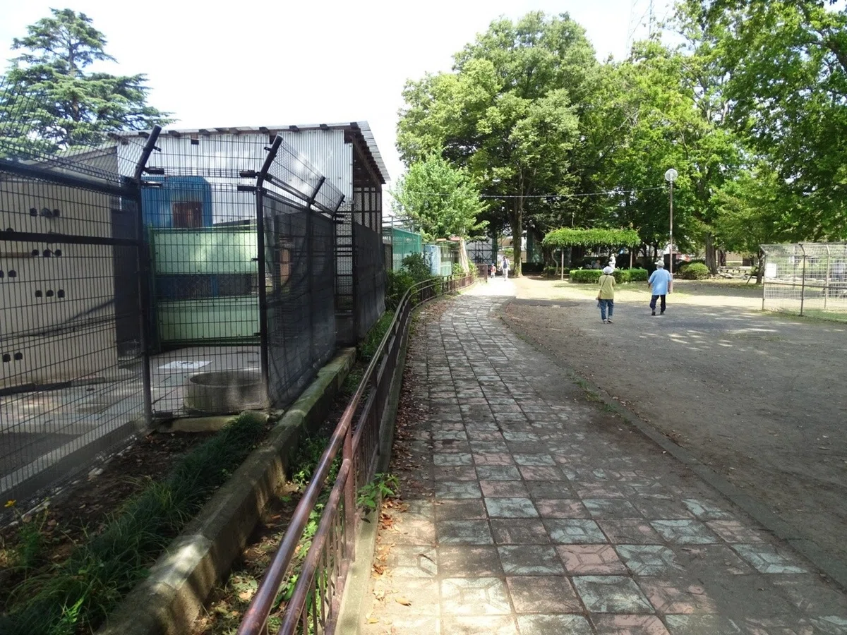画像5