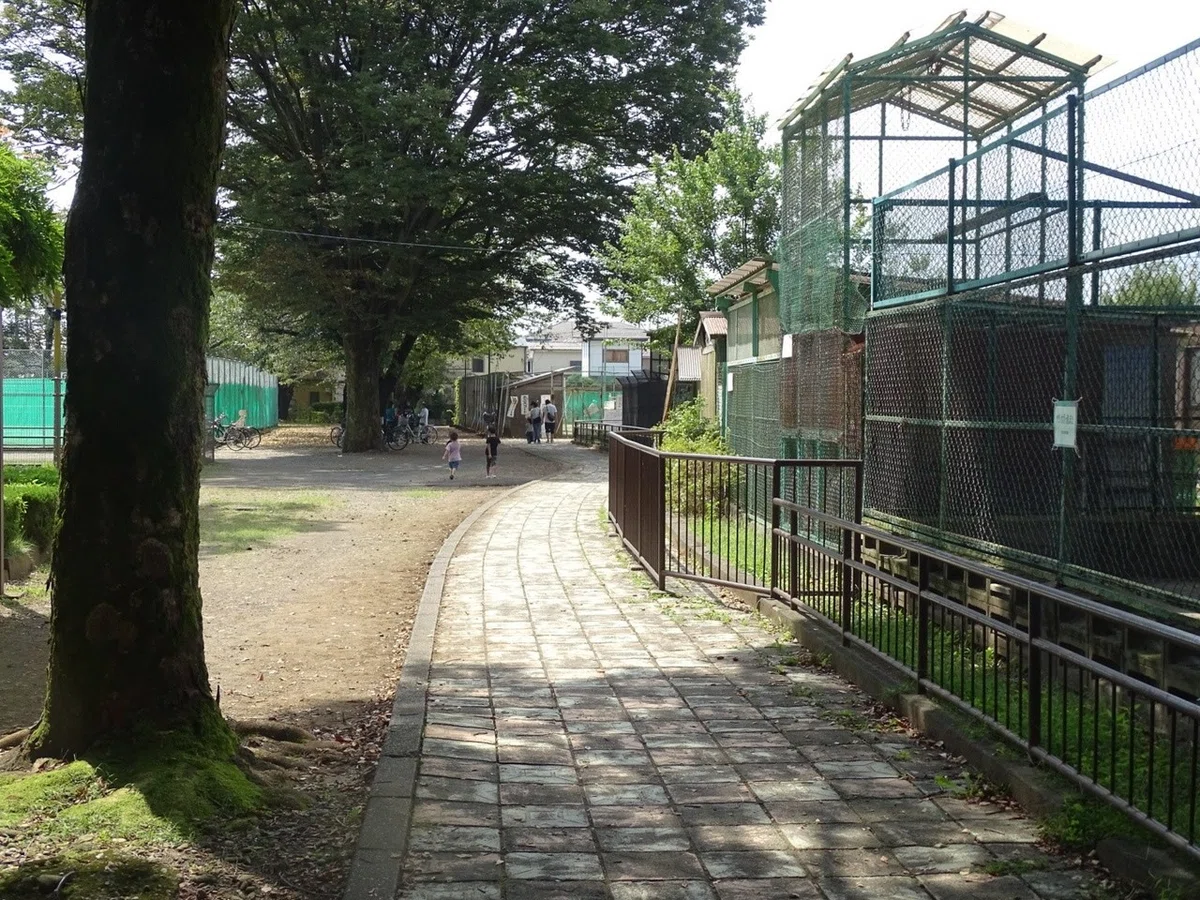 画像4