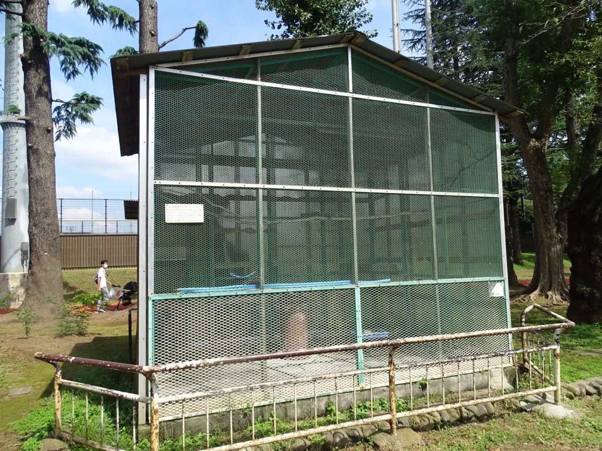 画像5