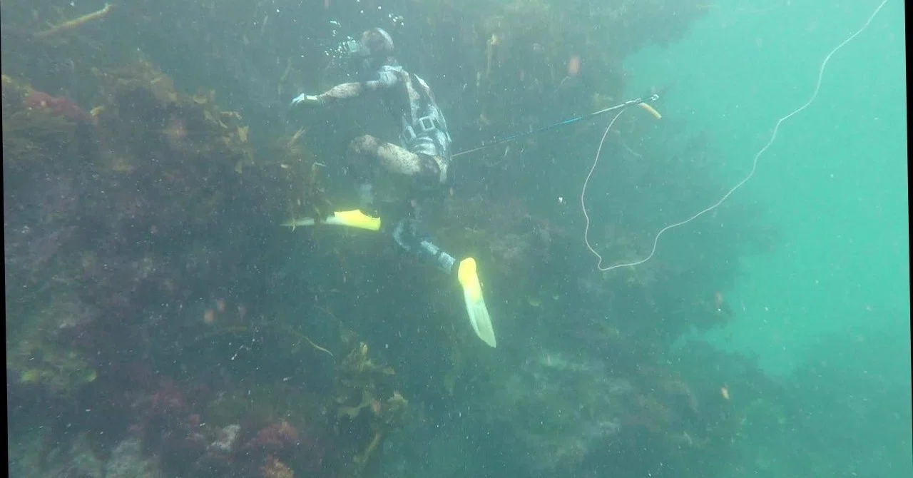 魚突きをはじめるのにお金っていくら必要？｜しまこ
