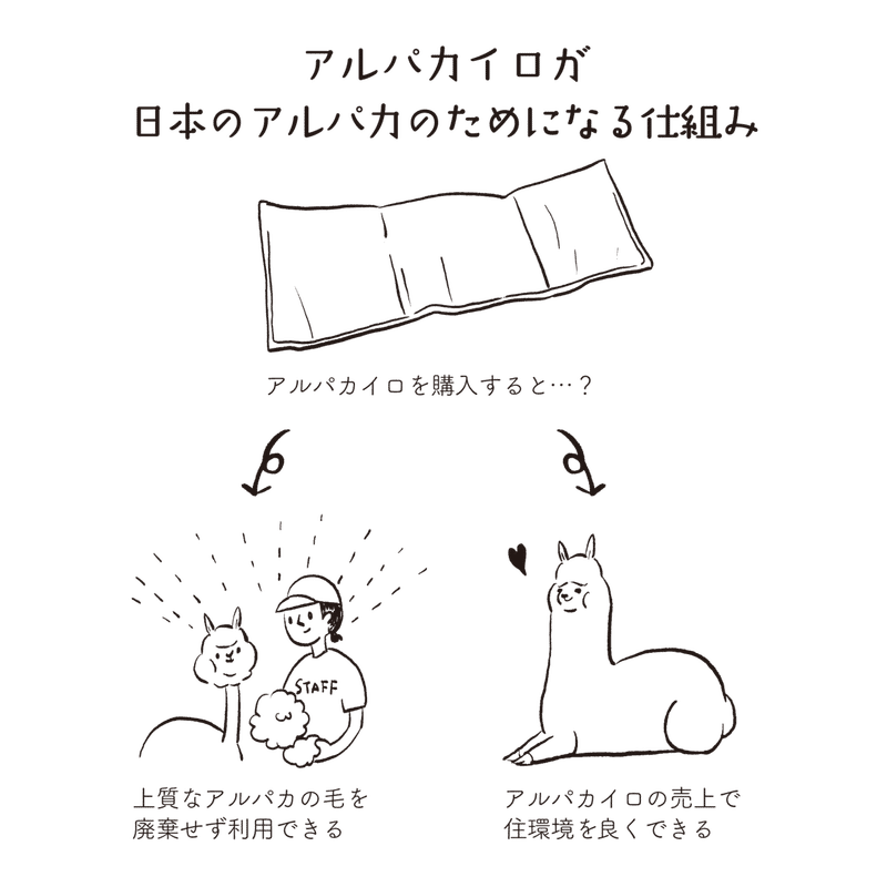 日本のアルパカのためになるエコカイロ アルパカイロ パッケージリニューアルを担当しました なめみそ Sunokko Design Note 日本のアルパカのためになるエコカイロ アルパカイロ パッケージリニューアルを担当しました なめみそ Sunokko Design Note