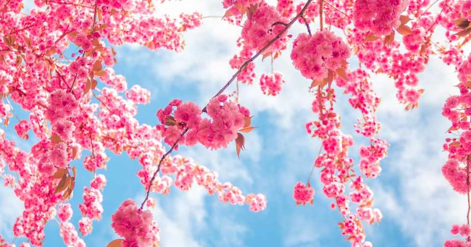 短編小説 じいさんとばあさん マツダシバコ 短編小説家 Note