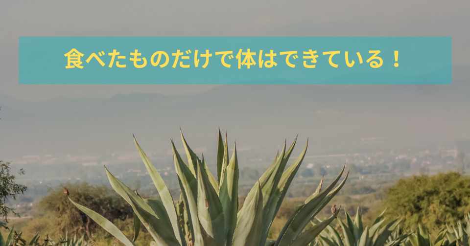 最後に行きついたお野菜は医者いらず まめみつ Note