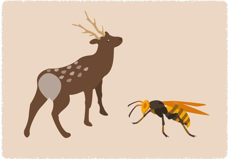 鹿と蜂 (2)