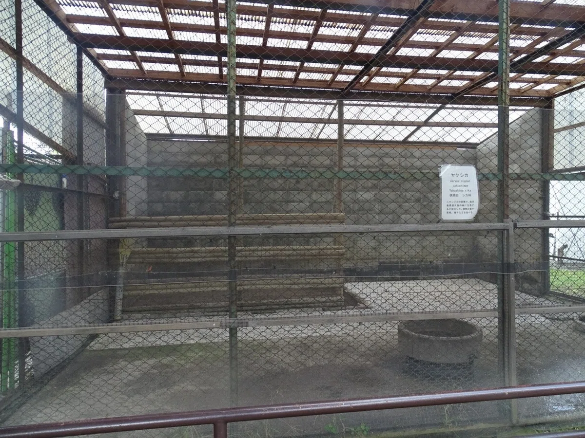 画像15
