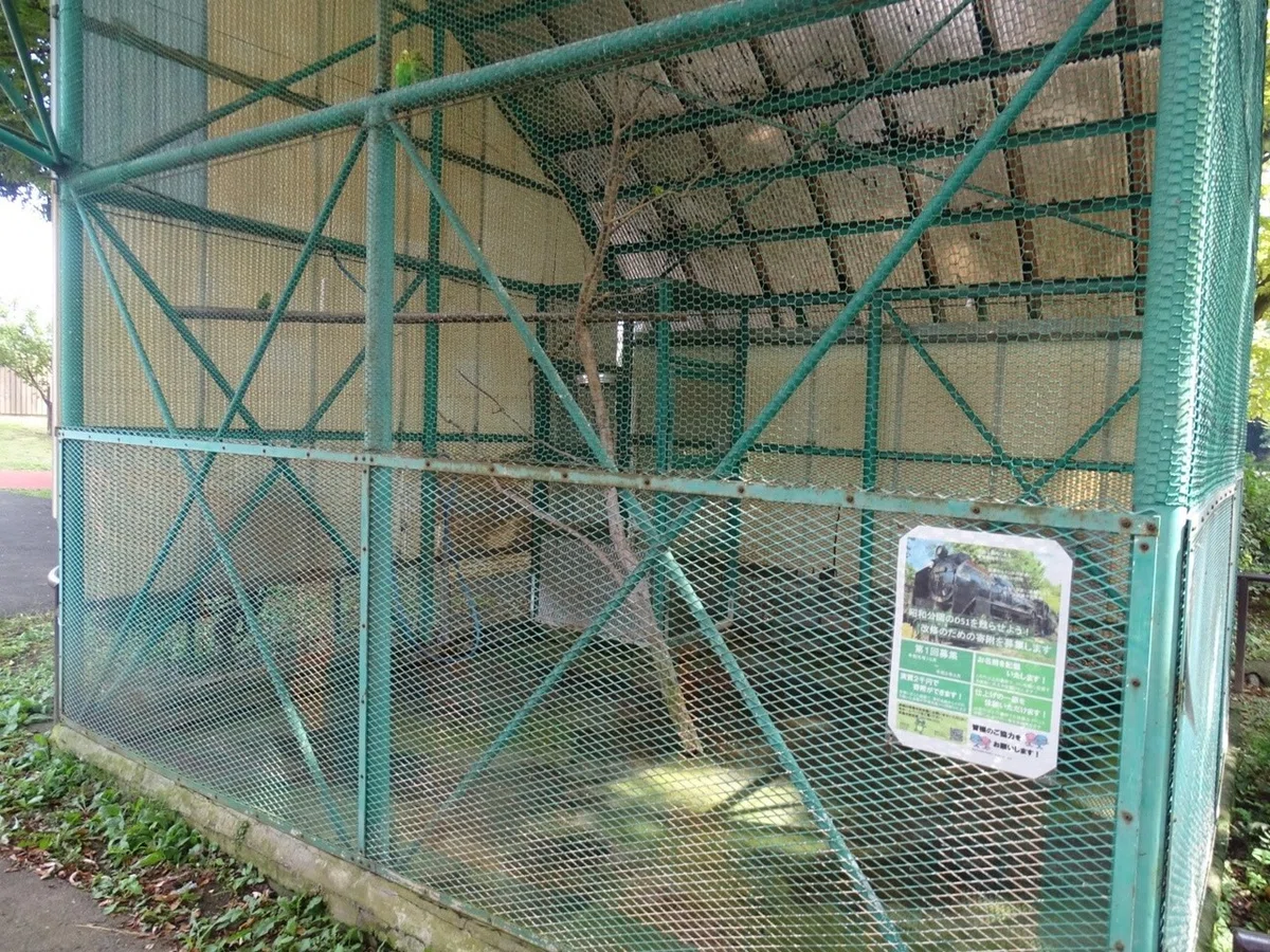 画像14