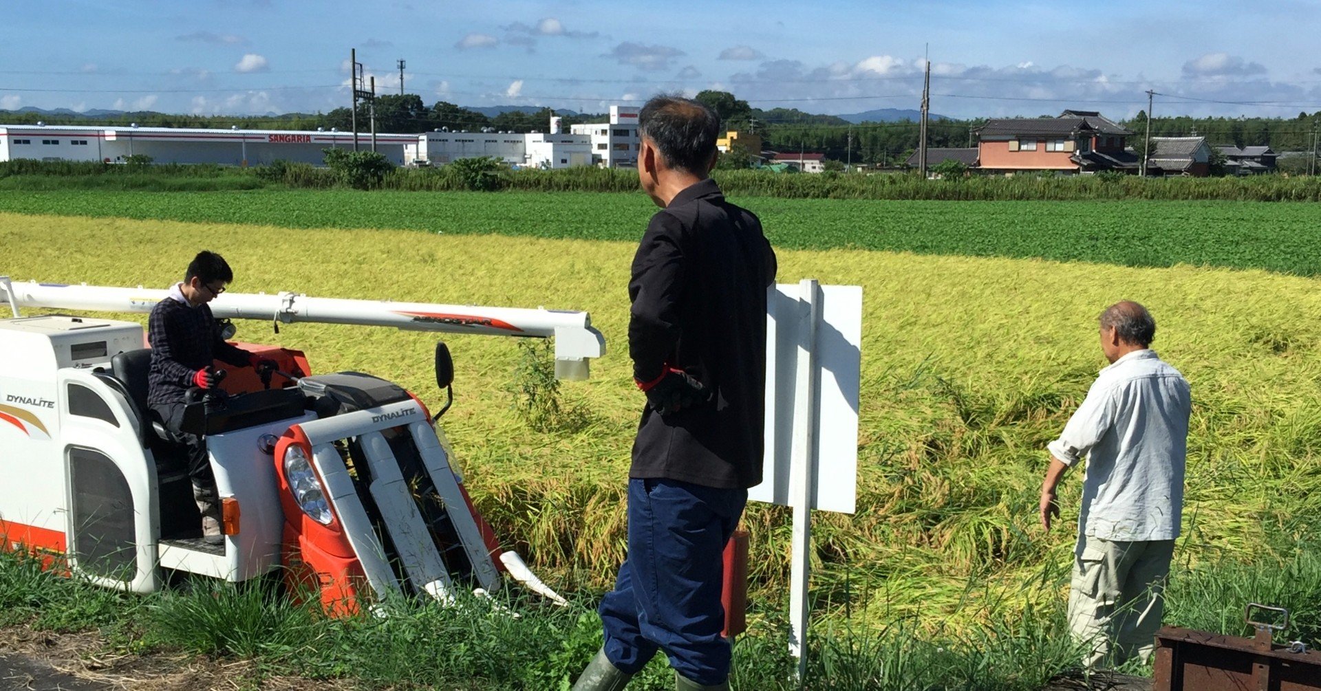 稲刈り ゼロから始める伊賀の米づくり10：稲刈り編：初コンバインで収穫