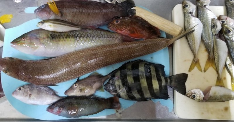 外道 という名前の魚はいない 食育 エソの天ぷらを食べること Amパパ 父親業 兼業公務員 Note