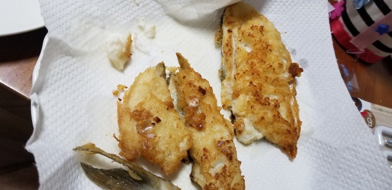 外道 という名前の魚はいない 食育 エソの天ぷらを食べること Amパパ 父親業 兼業公務員 Note
