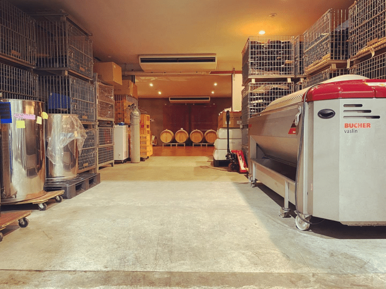 仕込みシーズン　折り返し地点　来月は自社畑のカベルネ・フランの収穫　契約農家さんからのブドウも続々と届きます！　#ワイナリー #仕込み #日本ワイン #フェルミエ #ワイン