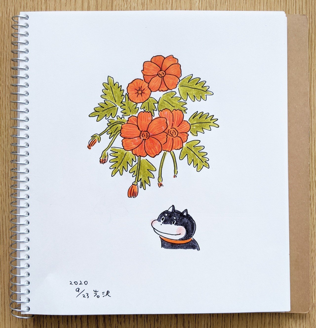 イラスト お花と黒柴 岩沢 Iwasawa Note イラスト お花と黒柴 岩沢 Iwasawa Note