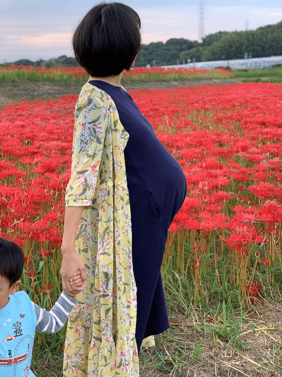 花畑でマタニティフォト 望みが実現しました 彼岸花の季節 現在33週の双子妊婦のお腹はこんなです Kali Naoco Note 花畑でマタニティフォト 望みが実現しました 彼岸花の季節 現在33週の双子妊婦のお腹はこんなです Kali Naoco Note