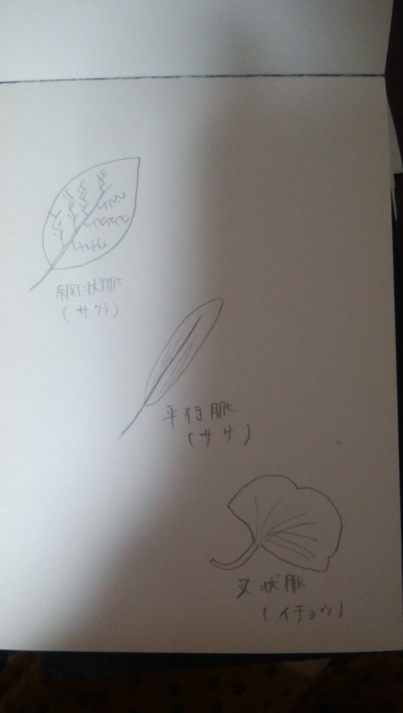 枝葉末節 発音 枝葉末節 発音