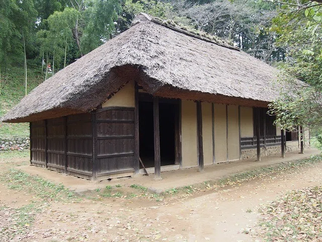 画像6