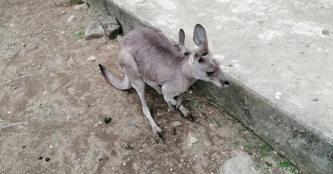 荒木飛呂彦の漫画術 の新着タグ記事一覧 Note つくる つながる とどける