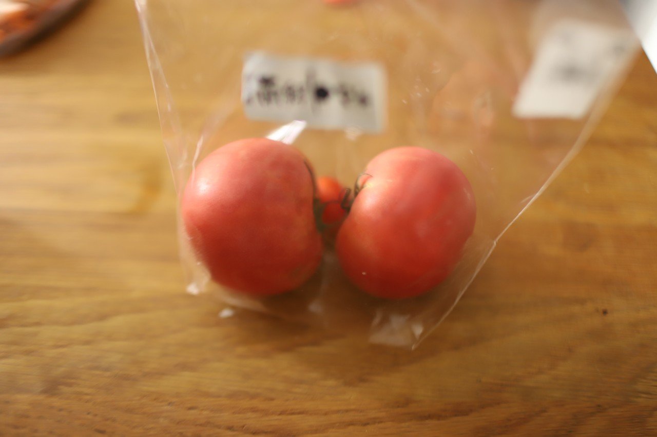 トマトの基本 冷やしトマトの作り方 樋口直哉 Travelingfoodlab Note トマトの基本 冷やしトマトの作り方 樋口直哉 Travelingfoodlab Note