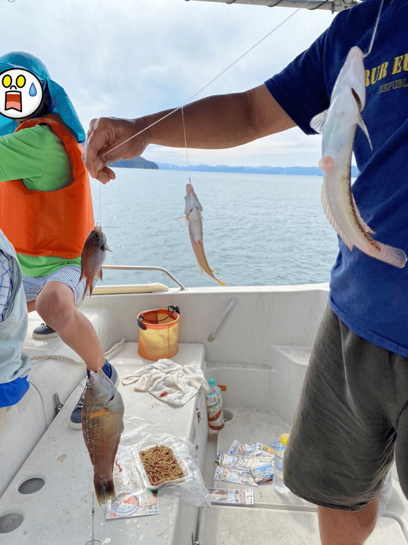 3 広島まで大遠征 船釣り 海水魚大好き Note