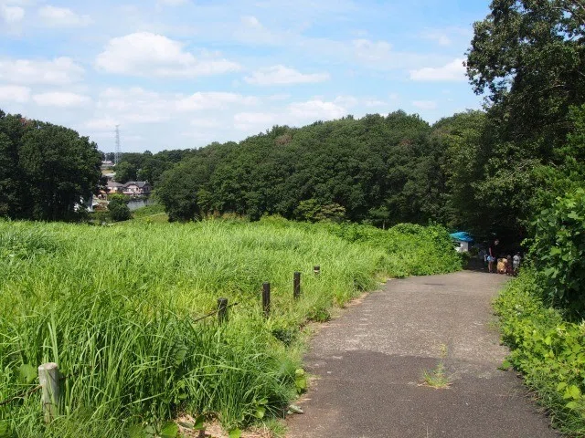 画像11