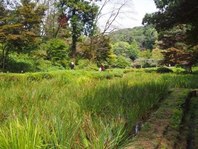 画像11