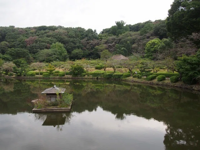 画像11