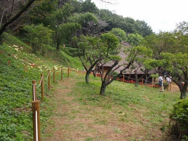 画像12