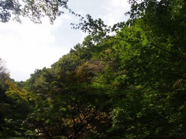 画像13