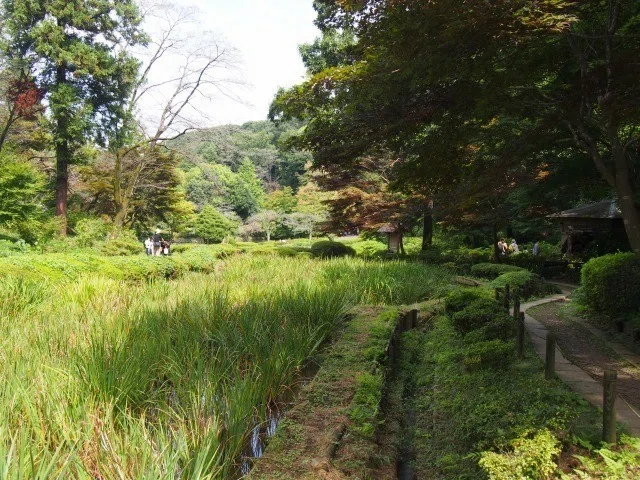 画像14