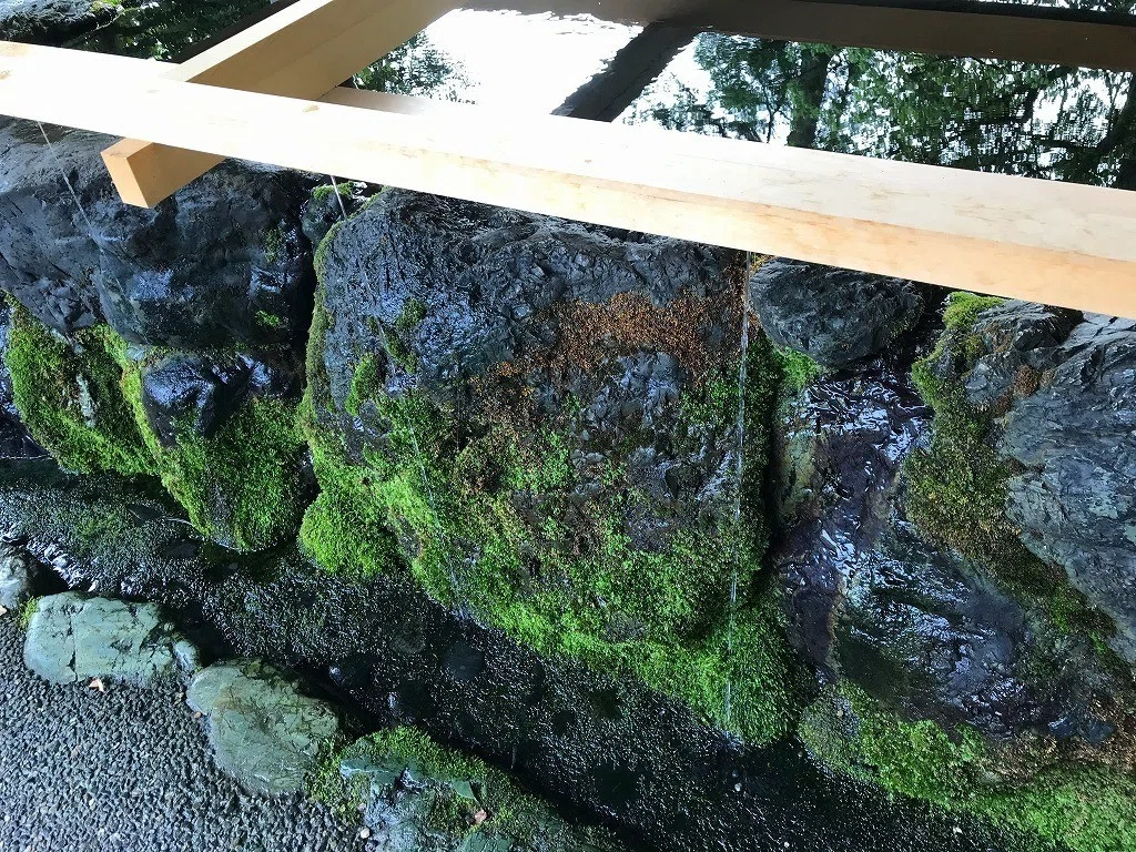 画像7