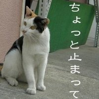 動物と人間の絆 トラジマのミーめ 読書感想文 ４ 遠入のどか Note
