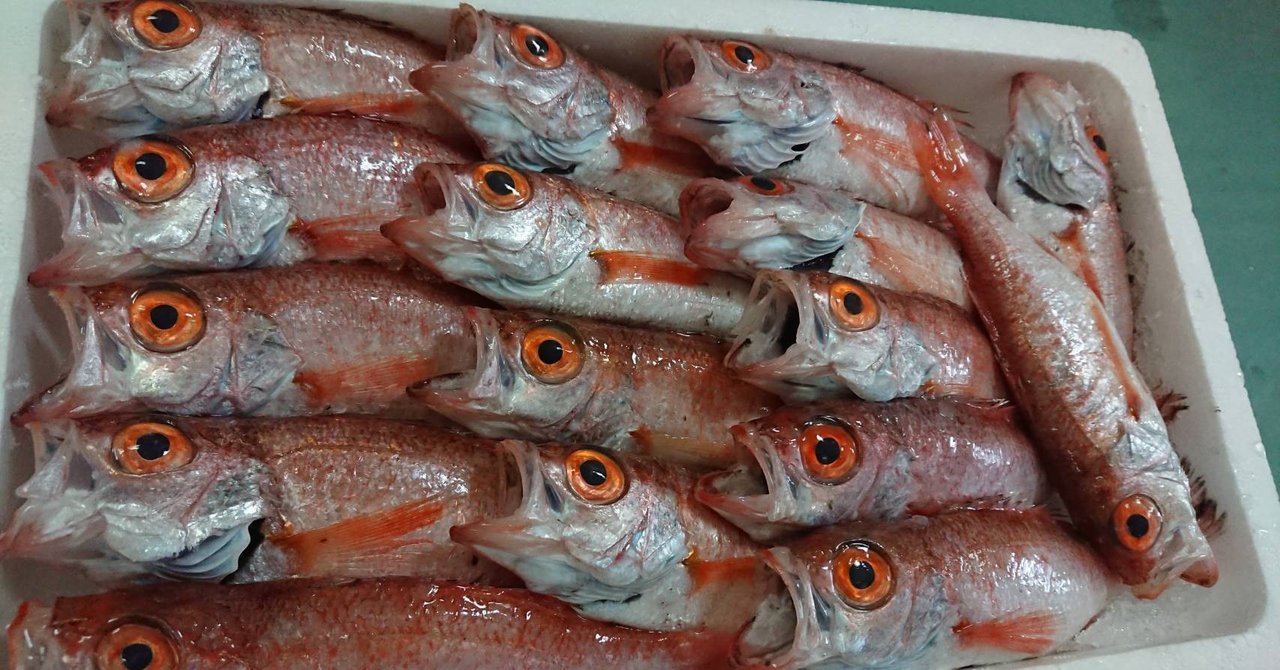 秋に新潟 佐渡沖で水揚げされる主な魚 ノドグロなど 魚が来る 明日 新潟から 鮮魚通販 Note